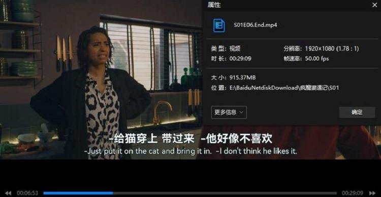 《我不讲理吗?(疯魔妻遇记)》英语中文字幕1080P高清视频插图1