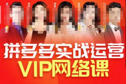 推易拼多多VIP直播课程，拼多多店铺实操+实战选款+直通车百度网盘插图