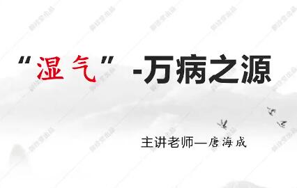 唐海成唐氏古中醫(yī)：六合除濕療法一期百度網(wǎng)盤插圖