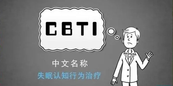 吳家碩失眠認(rèn)知行為治療(CBT-I)培訓(xùn)項目百度網(wǎng)盤插圖