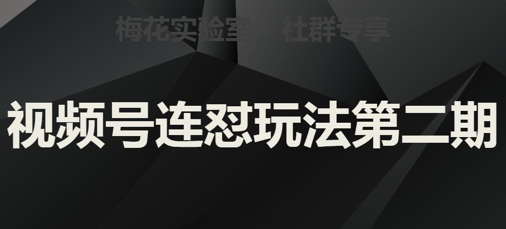 梅花实验室社群视频号连怼玩法第二期百度网盘插图