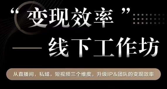 变现效率线下工作坊，从直播间、私域、短视频升级IP变现效率百度网盘插图