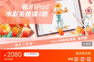 蓉儿iPad水彩综合课百度网盘插图