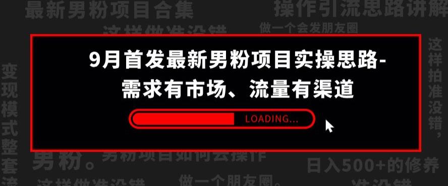 9月首發最新男粉項目實操思路百度網盤插圖