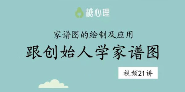 糖心理《跟创始人学家谱图：家谱图的绘制及应用》百度网盘插图