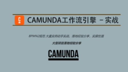 Camunda高級實戰(zhàn)培訓(xùn)系列教程百度網(wǎng)盤插圖