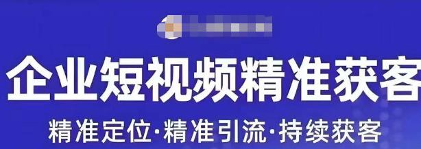 許茹冰?短視頻運營精準獲客，為企業打造短視頻自媒體百度網盤插圖