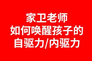 如何唤醒孩子的自驱力/内驱力百度网盘插图