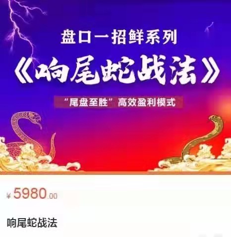 【老姜】原價(jià)5980元的《盤口一招鮮系列：響尾蛇戰(zhàn)法，尾盤至勝高效盈利模式》插圖