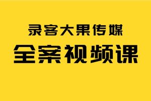 錄客大果傳媒-全案視頻課百度網盤插圖