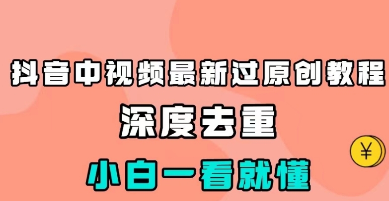 抖音中视频最新过原创教程，深度去重百度网盘插图