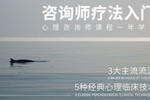 心理咨詢技術與療法入門百度網盤插圖