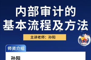 中華會計網(wǎng)校孫陽：內(nèi)部審計方法及流程百度網(wǎng)盤插圖