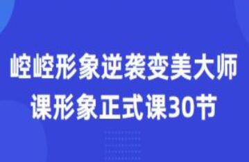 崆崆形象正式課30節(jié)形象逆襲變美大師課百度網(wǎng)盤插圖