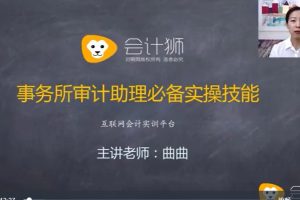 四大審計經(jīng)理講審計助理實操視頻百度網(wǎng)盤插圖