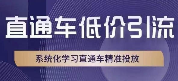 直通車低價(jià)引流課，系統(tǒng)化直通車精準(zhǔn)投放百度網(wǎng)盤插圖