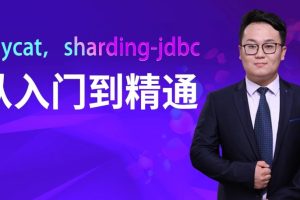 馬式兵-mycat，sharding-jdbc從入門到精通百度網(wǎng)盤插圖