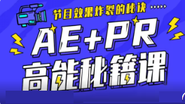 AE+Pr高能秘籍課百度網(wǎng)盤插圖