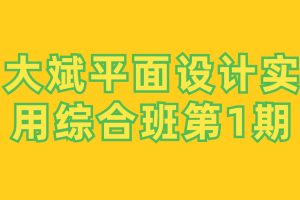 大斌平面设计实用综合班第1期百度网盘插图