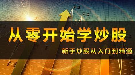 《0基礎炒股入門視頻教程》百度網盤插圖