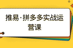 推易·8月底拼多多實戰(zhàn)運營課百度網(wǎng)盤插圖