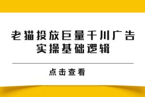 老猫投放巨量千川广告实操基础逻辑百度网盘插图