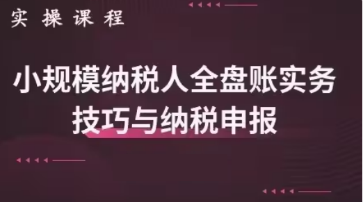 小規模納稅人全盤真帳實操賬務處理及納稅申報百度網盤插圖