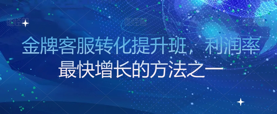 金牌客服轉化提升班，利潤率最快增長方法百度網盤插圖