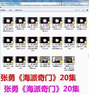 【易學(xué)上新】 22 張勇《海派奇門》20集