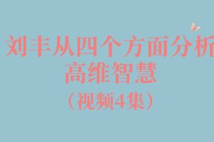 劉豐從四個(gè)方面分析高維智慧4集視頻百度網(wǎng)盤(pán)插圖