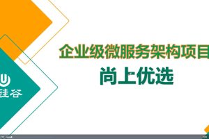 尚硅谷Java项目《尚上优选》百度网盘插图