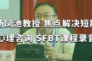 楊鳳池教授 焦點(diǎn)解決短期心理咨詢 SFBT課程錄音百度網(wǎng)盤插圖