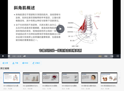 【中醫(yī)上新】20.封華【夯實基礎】全身肌肉理論+手法實操全集