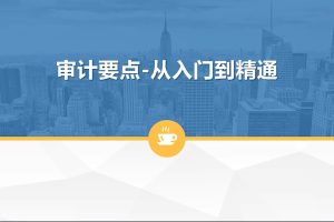 一門課學(xué)通審計實務(wù)：審計要點-從入門到精通百度網(wǎng)盤插圖