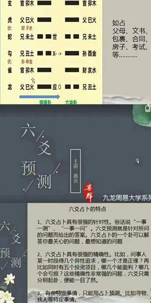 【易学上新】 16 九龙弟子班内容 六爻预测 6集