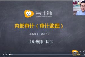 企業(yè)內審審計助理必修課（視頻）百度網盤插圖