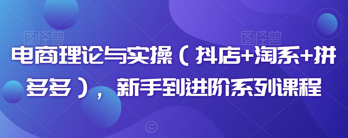 電商理論與實(shí)操（抖店+淘系+拼多多），新手到進(jìn)階系列課程插圖