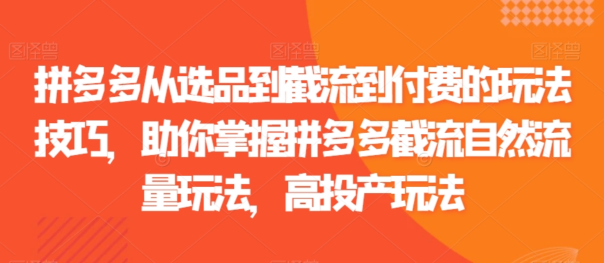 拼多多從選品到截流到付費(fèi)的玩法技巧，助你掌握拼多多截流自然流量玩法，高投產(chǎn)玩法插圖