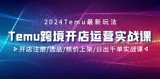 2024最新Temu跨境開店運營實操課，開店注冊選品核價上架插圖