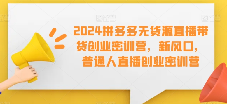 2024拼多多無貨源直播帶貨創(chuàng)業(yè)密訓(xùn)營課插圖