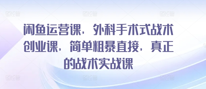 閑魚運營課，外科手術式戰術創業課插圖