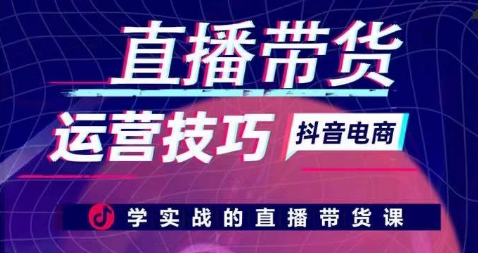 李扭扭-抖音电商直播带货运营技巧，学实战的直播带货课插图