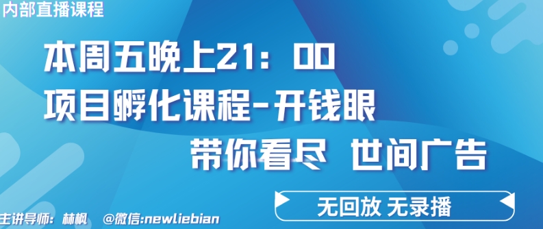 林楓內(nèi)部直播《項(xiàng)目孵化-開(kāi)錢(qián)眼》賺錢(qián)的底層邏輯插圖