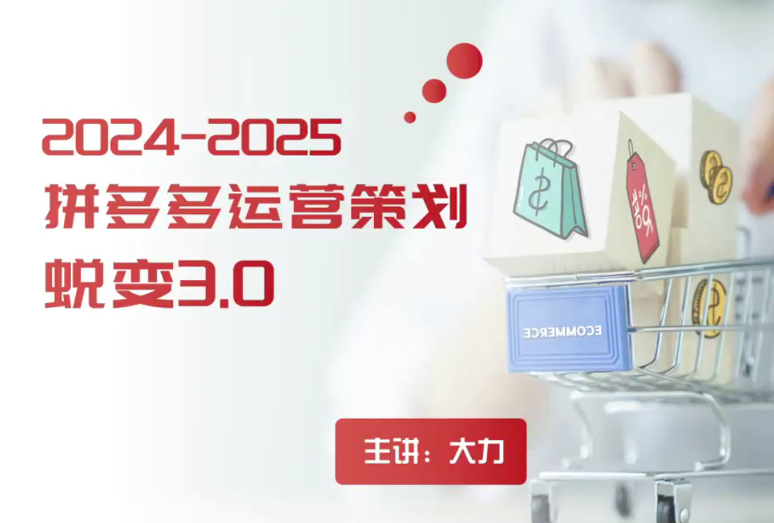 2024拼多多運(yùn)營(yíng)策略蛻變3.0，0-1完美蛻變，解決運(yùn)營(yíng)焦慮，縮短運(yùn)營(yíng)周期2年+插圖