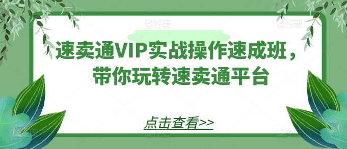 【速卖通】速卖通VIP实战操作速成班，带你玩转速卖通平台插图