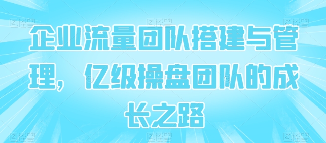 企業(yè)流量團(tuán)隊(duì)搭建與管理，億級(jí)操盤團(tuán)隊(duì)的成長(zhǎng)之路插圖