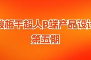 酸梅干超人B端產(chǎn)品設計第5期插圖