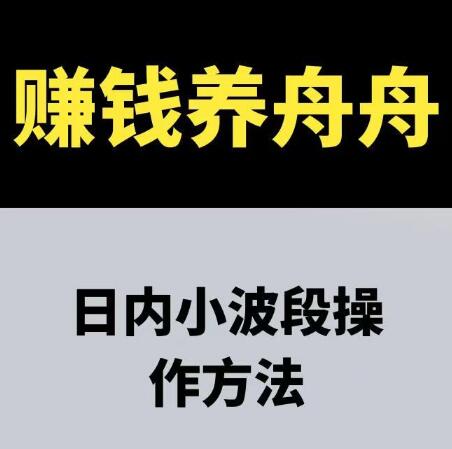 【賺錢養(yǎng)舟舟】《賺錢養(yǎng)舟舟 日內小波段操作方法 期貨課程》插圖