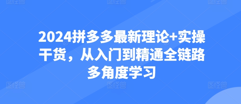 2024拼多多最新理論+實操干貨，從入門到精通全鏈路多角度學(xué)習(xí)插圖