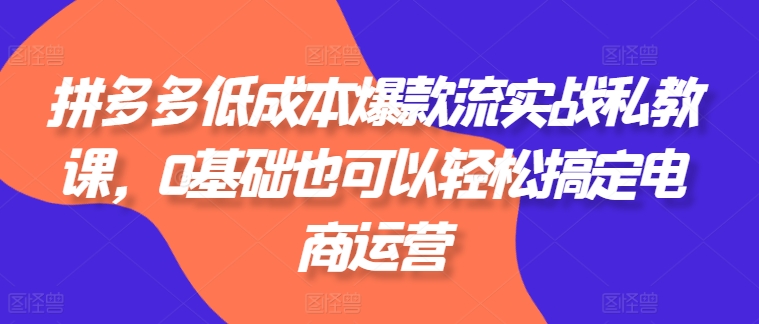 拼多多低成本爆款流实战私教课，0基础也可以轻松搞定电商运营插图